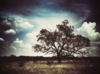 Scenic view of field against cloudy sky