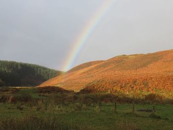 Mountain with grassy landscape by trees and rainbow in sky