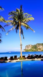 Palm tree by sea against clear blue sky