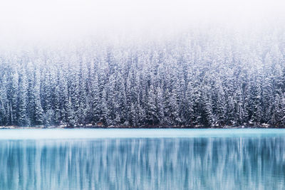 Scenic winter landscape