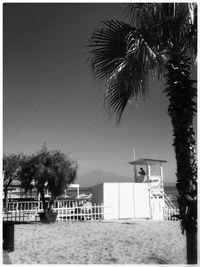 Palm trees on beach against clear sky