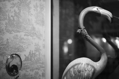 Close-up of animal skull