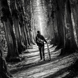 Man walking on pathway amid trees in the forest