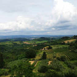 Scenic view of agricultural landscape against sky