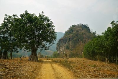 Dirt road amidst trees on field against sky