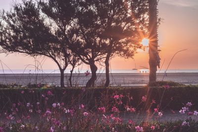 Scenic view of sea against sky during sunset