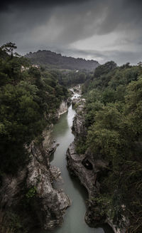 Scenic view of river amidst trees against sky