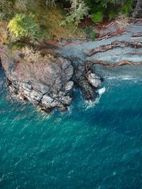 Aerial view of sea