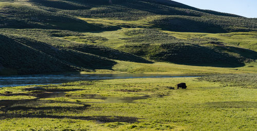 Scenic view of landscape