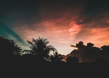 Silhouette trees against sky during sunset