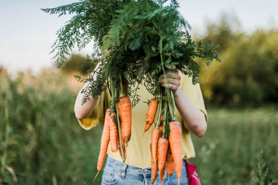 Midsection of woman holding carrots at field