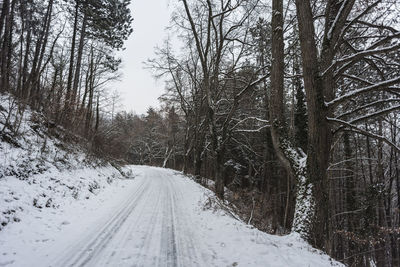 Snow covered road amidst trees during winter