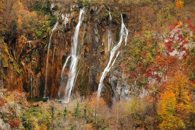 Scenic view of waterfall in forest