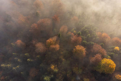 Aerial view of