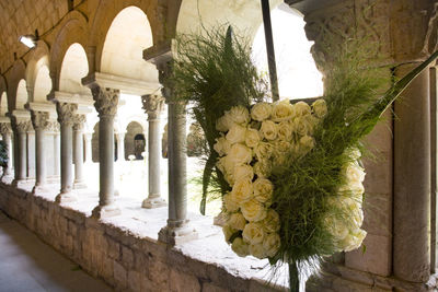 Trees and historic building seen through colonnade