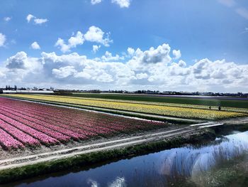 Scenic view of landscape against blue sky