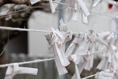 Close-up of tied hanging on rope