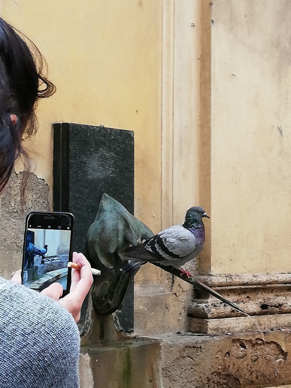 MIDSECTION OF WOMAN HOLDING BIRDS AGAINST WALL