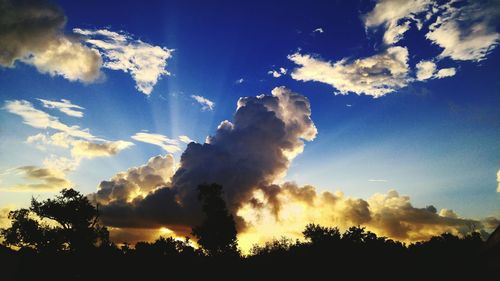 Silhouette of trees against cloudy sky