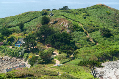 High angle view of trees by sea