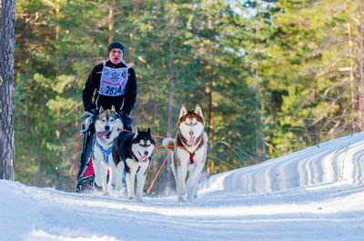 Full length of a dog on snow covered landscape