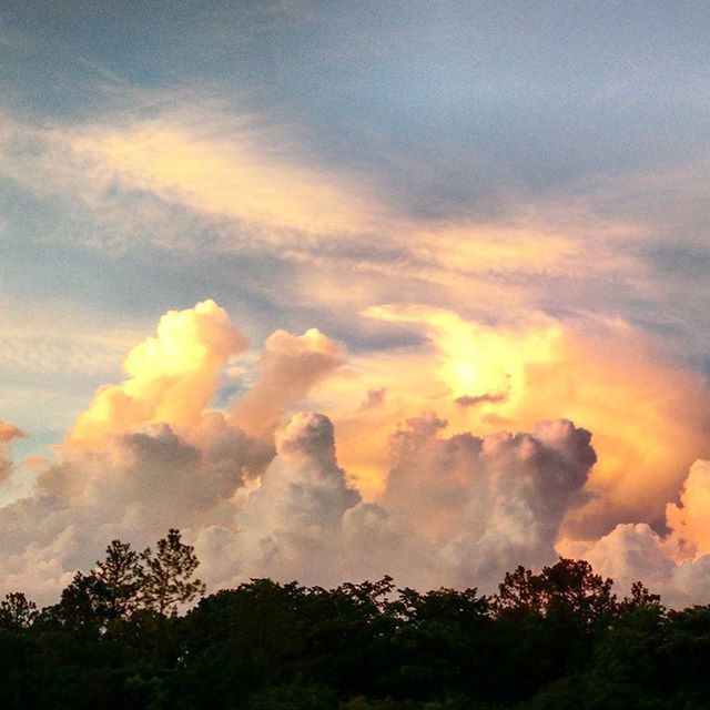 sky, sunset, beauty in nature, scenics, tranquil scene, cloud - sky, tranquility, tree, nature, silhouette, idyllic, orange color, cloudy, dramatic sky, cloud, low angle view, landscape, outdoors, majestic, weather