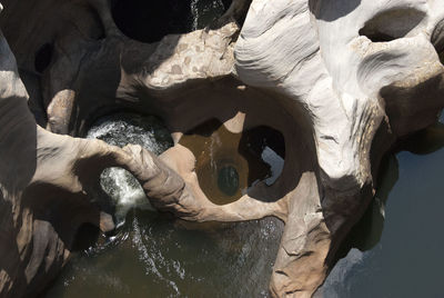 Close-up of statue by water