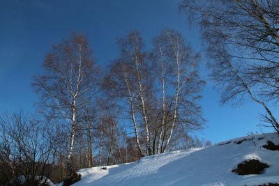 Bare trees on snow covered field against sky