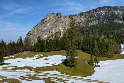 Mountain hochfelln seen from eschlmoos, chiemgau, bavarian alps in spring with snow