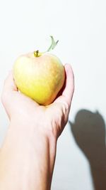 Close-up of hand holding apple against white background