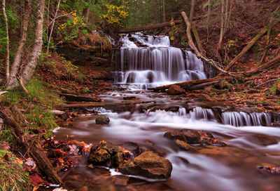 Scenic view of waterfall in forest