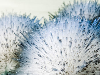 Close-up of wet glass against blue background