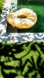 High angle view of tree by swimming pool