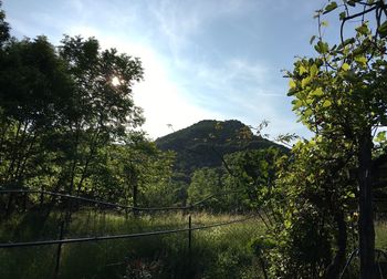 Scenic view of mountain against cloudy sky