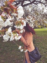 Low angle view of woman standing by cherry blossom tree