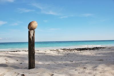 Wooden posts on beach against blue sky