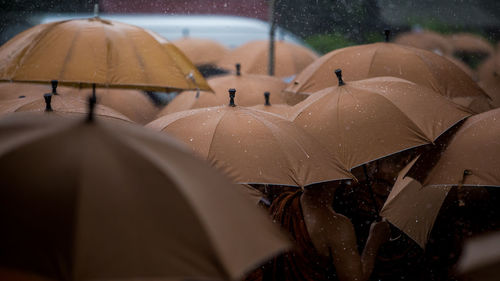Close-up of wet umbrella