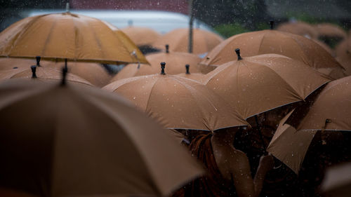 Close-up of wet umbrella