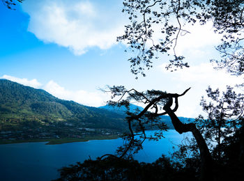 Silhouette tree by lake against sky