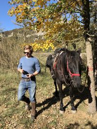 Full length portrait of a horse