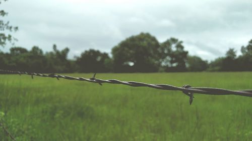 Barbed wire fence on field