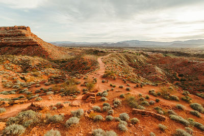 Trails wind through red rock and desert shrub landscape in utah