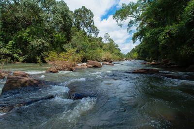 View of river flowing through rocks in forest