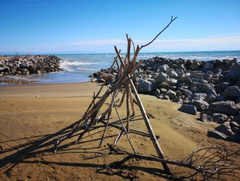 Driftwood on beach against sky