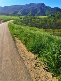 Scenic view of landscape