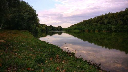 Scenic view of lake by trees against sky