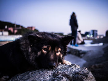 Close-up of man against sky