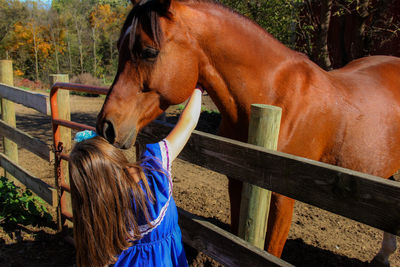 Rear view of girl touching horse in ranch