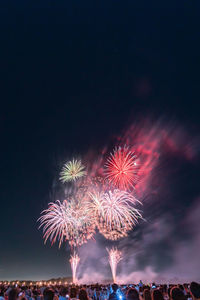 Low angle view of firework display at night