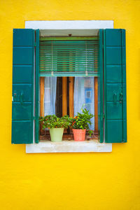 Potted plant against wall